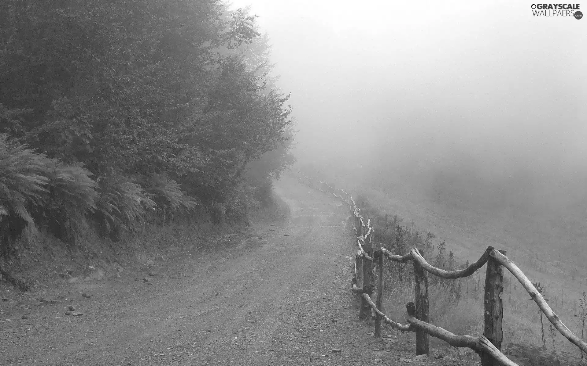 Fog, Way, Fance