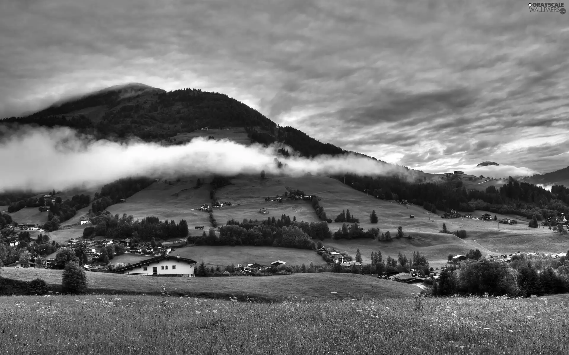 Fog, Farms, woods, medows, Mountains