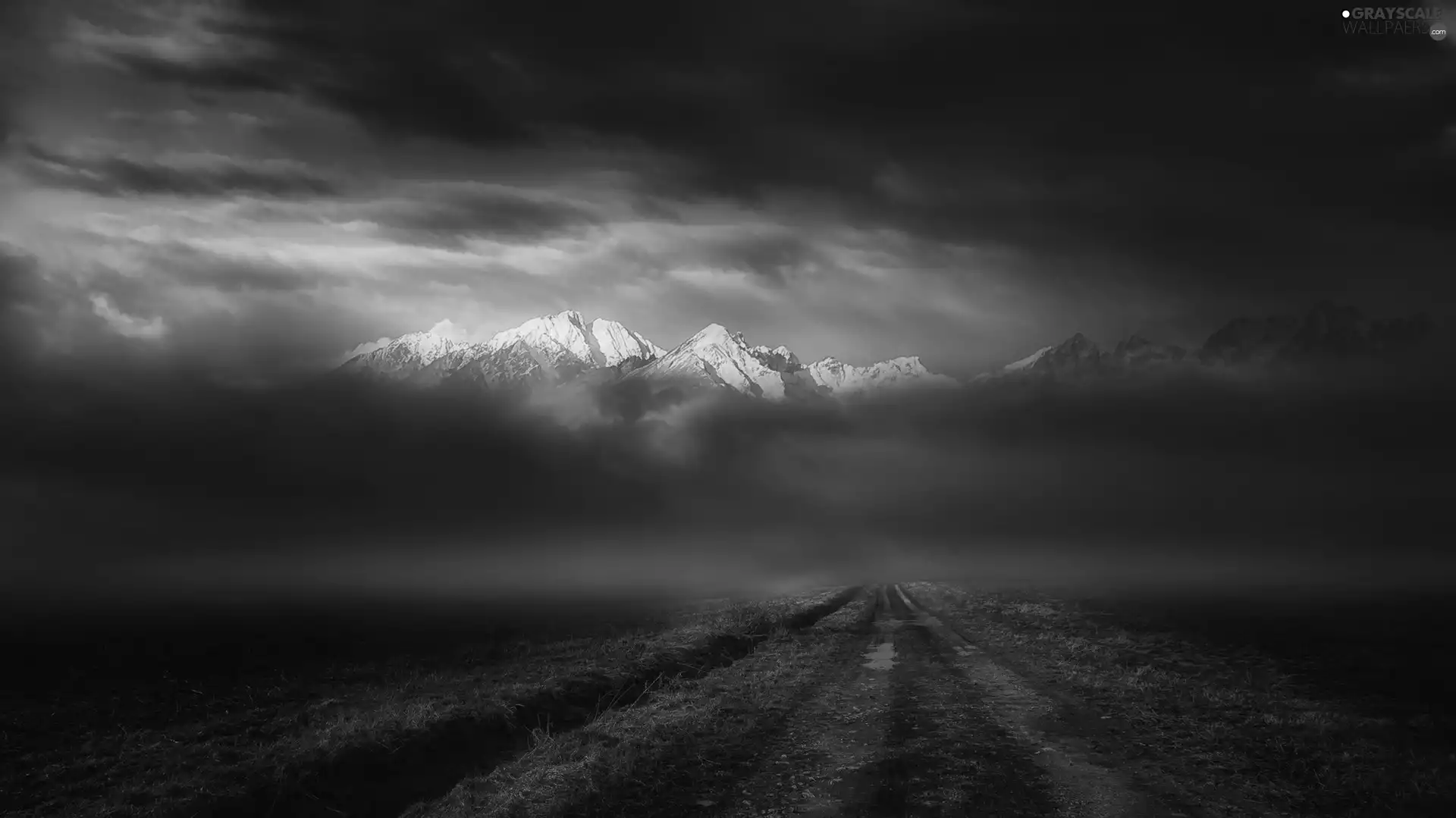 field, Mountains, Fog, Way