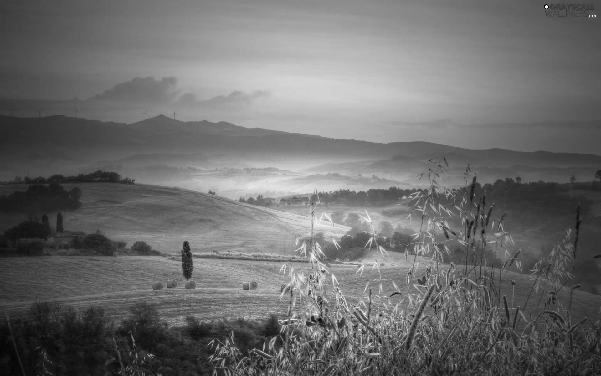 field, Great Sunsets, Fog, Mountains