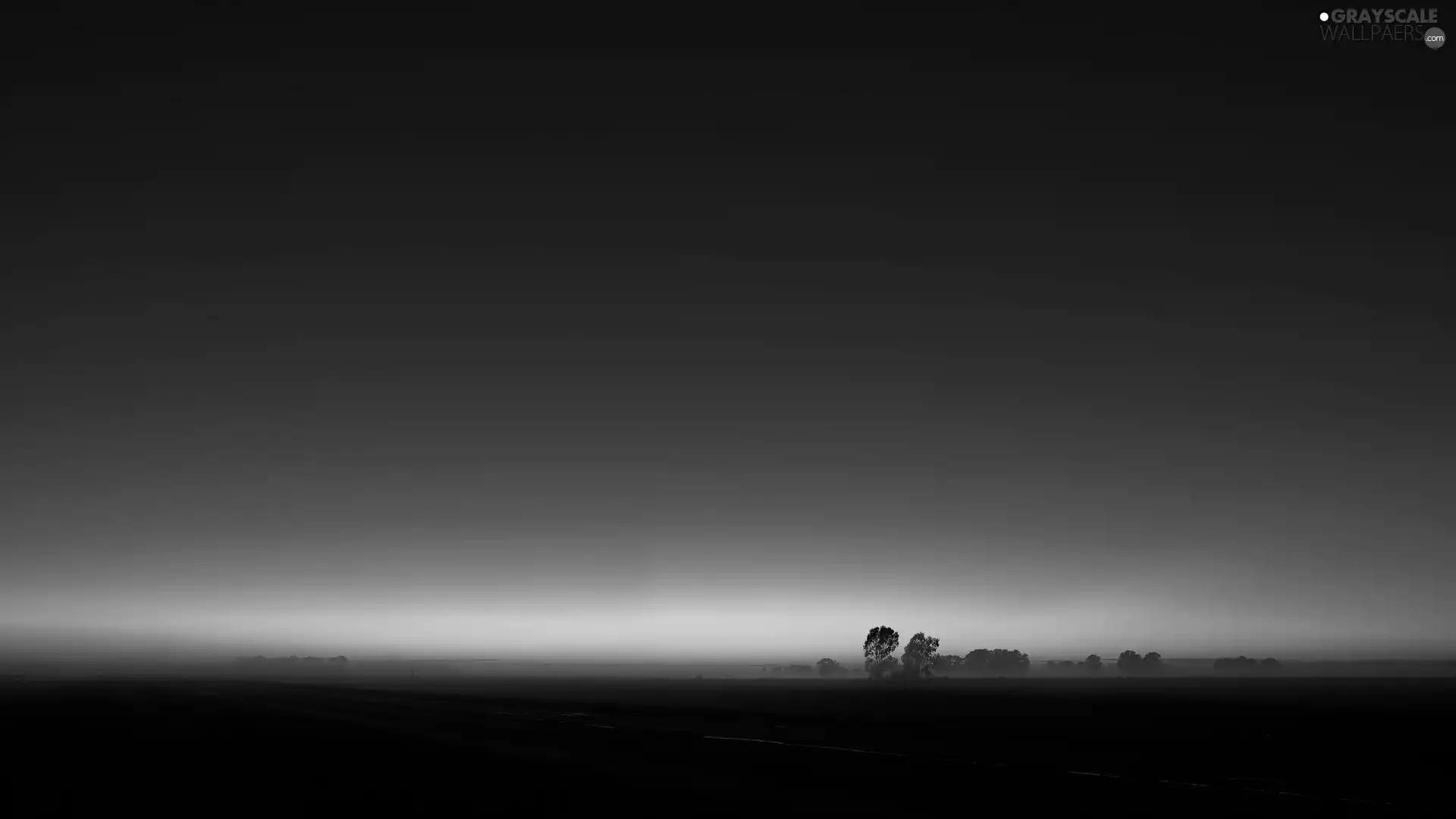 Fog, trees, Field