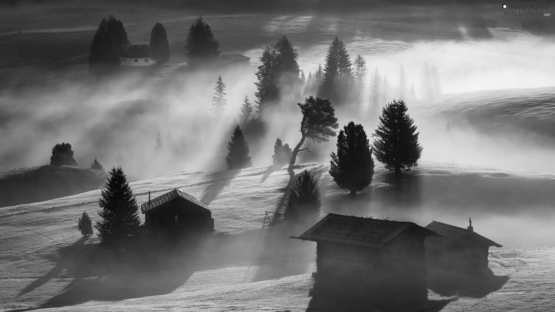 viewes, Fog, Houses, trees, wood