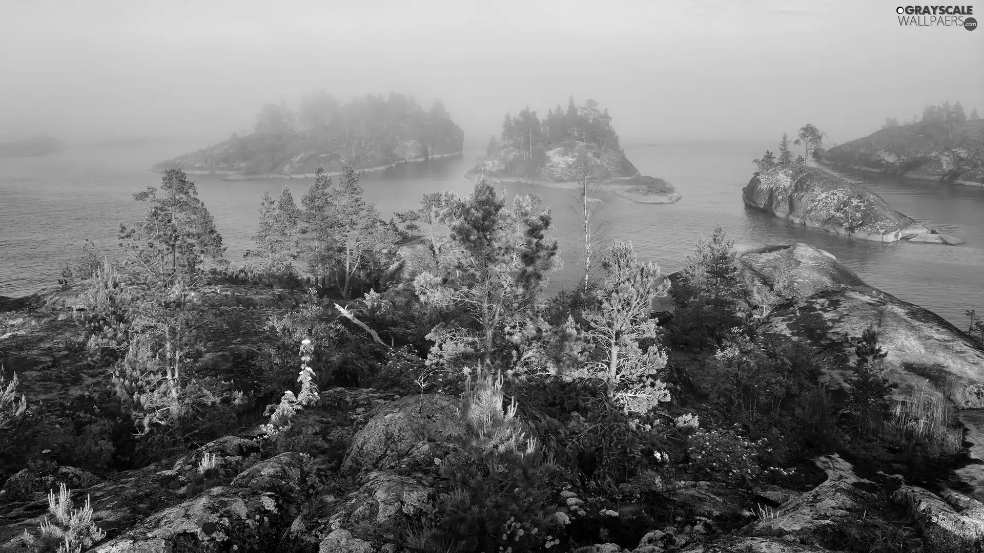 rocks, lake, viewes, Fog, trees, Islets
