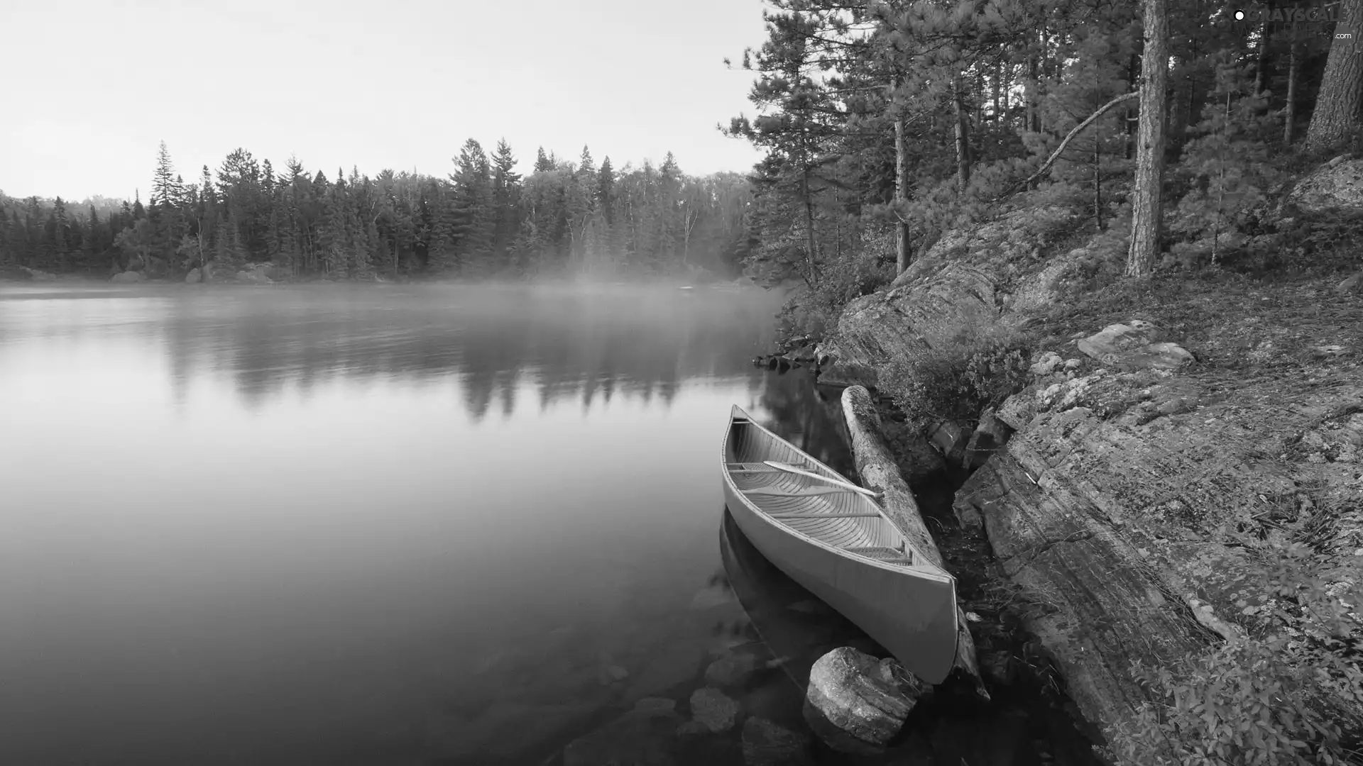 lake, Kayak, Fog, forest