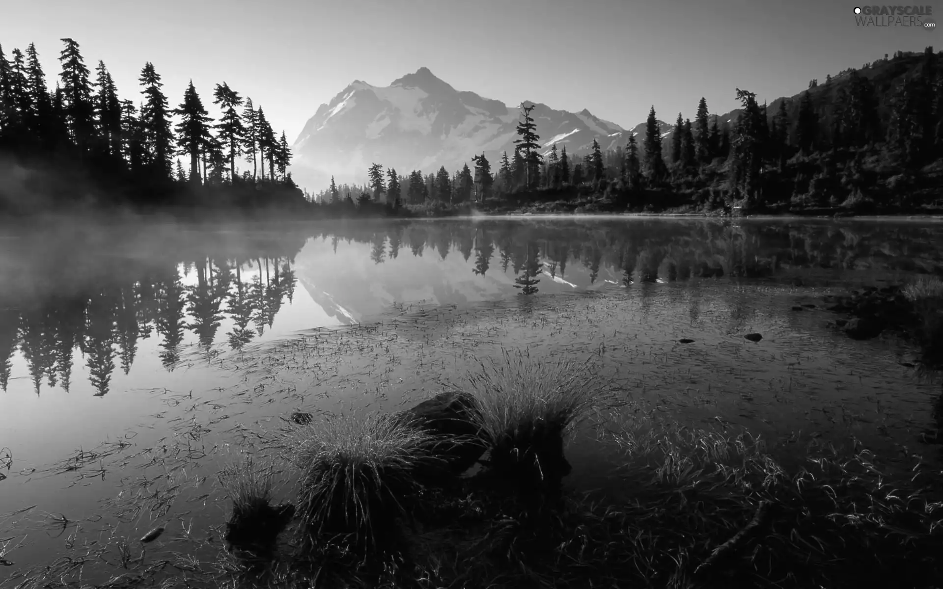 lake, Mountains, Fog, forest