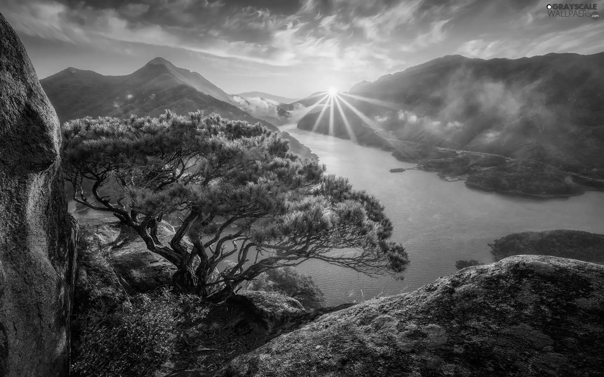 Sunrise, Mountains, pine, Fog, rocks, lake