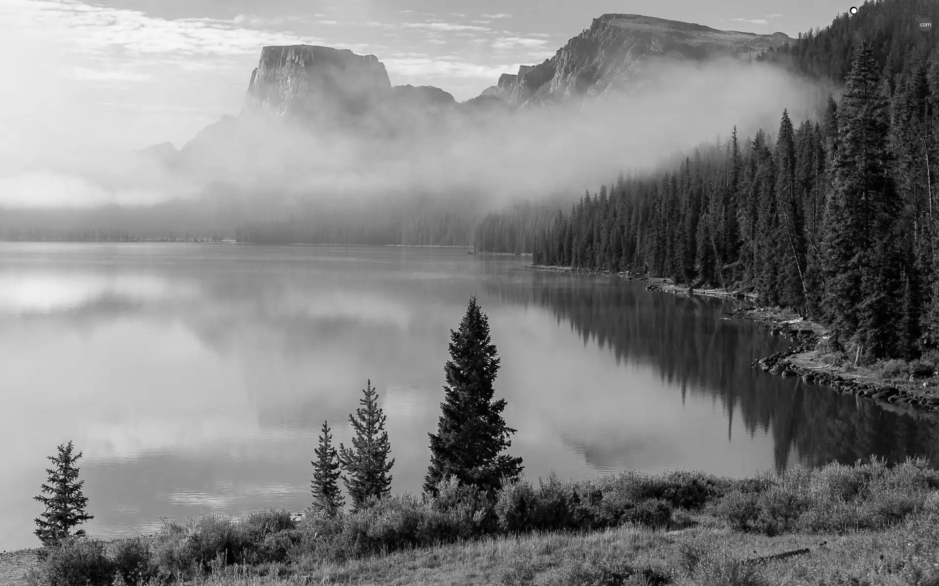 lake, woods, Fog, Mountains