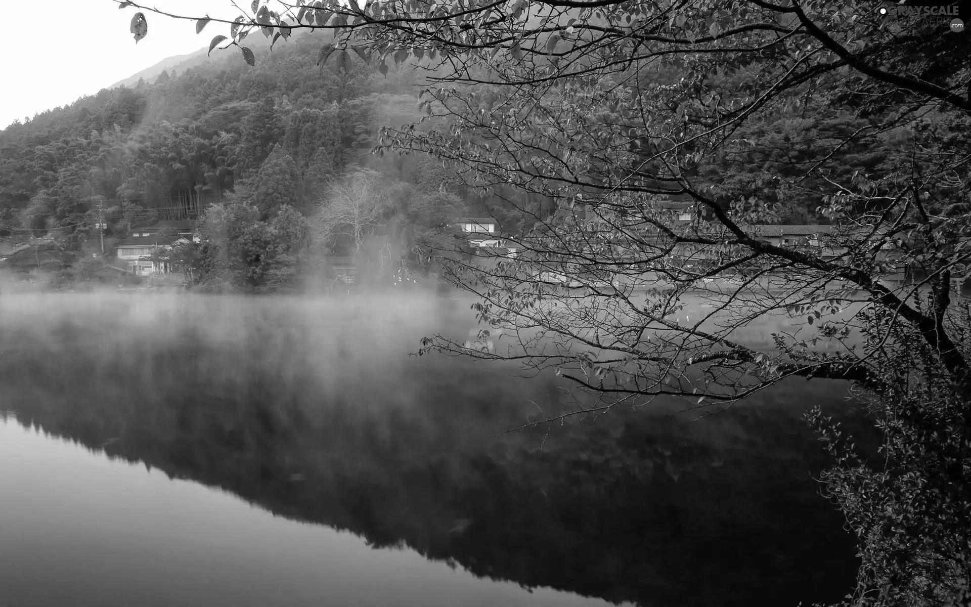 lake, woods, Fog, Mountains