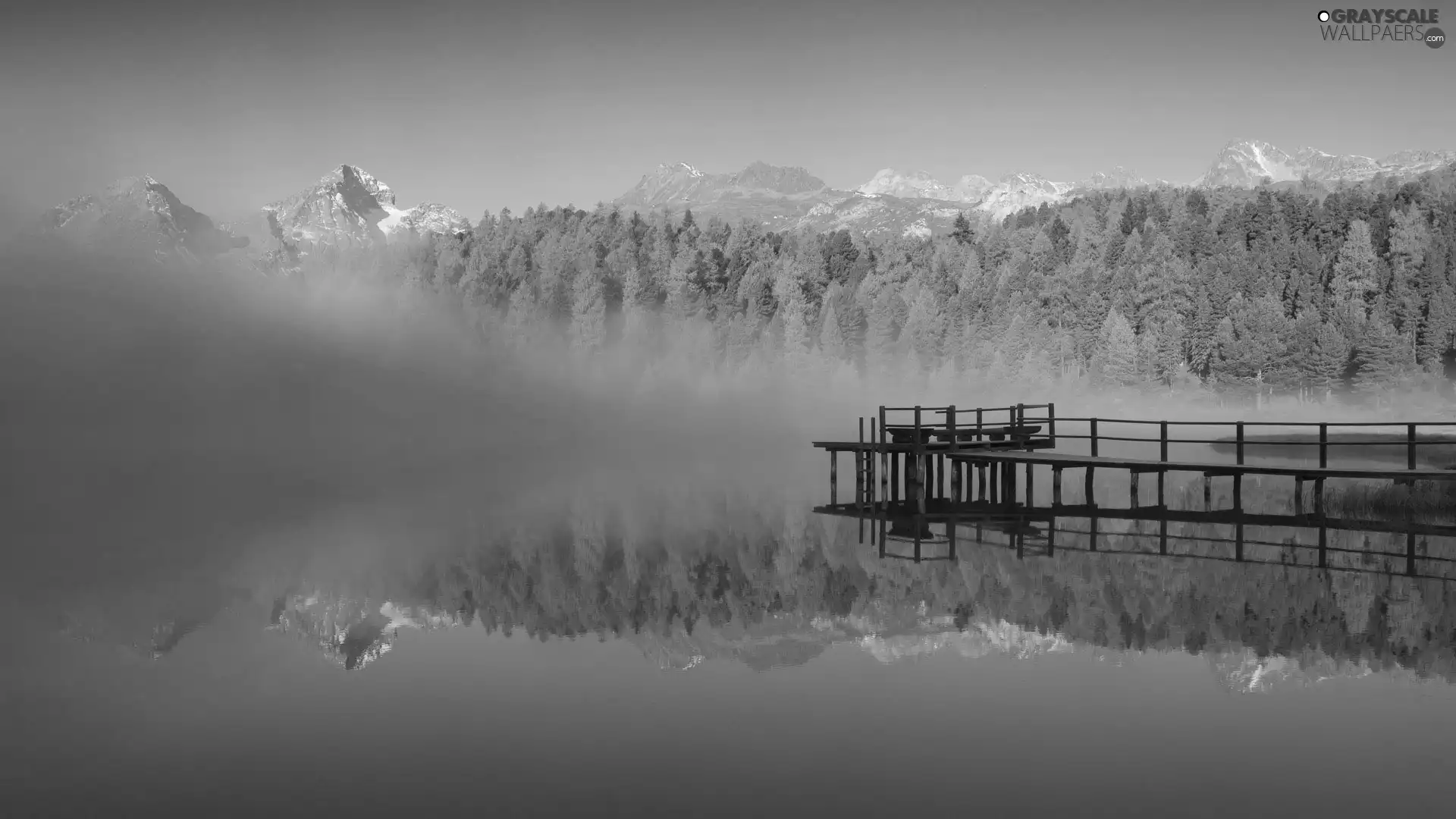 lake, woods, Fog, pier