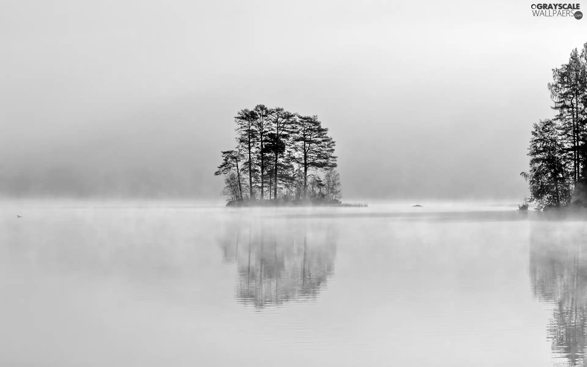 lake, Fog