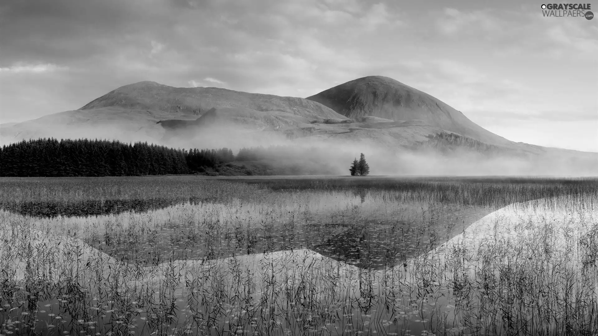 Fog, Mountains, marshland
