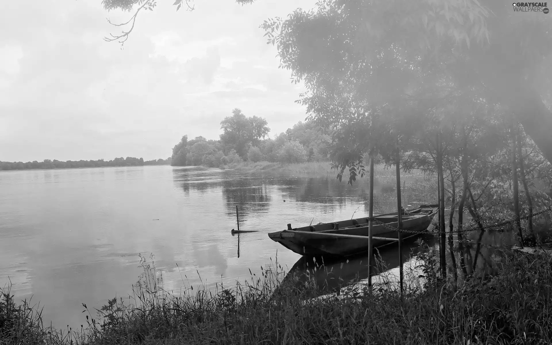 Fog, morning, River, woods, Boat