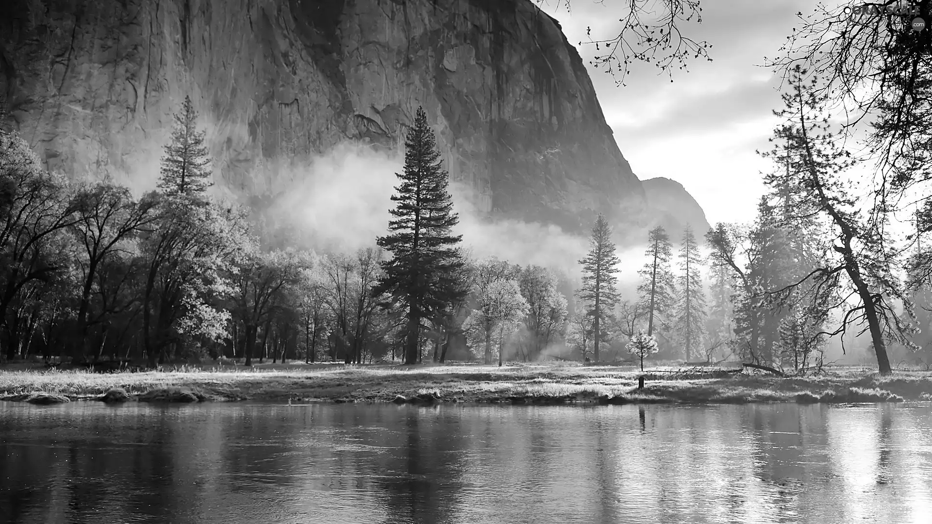 Fog, morning, forest, River, Mountains