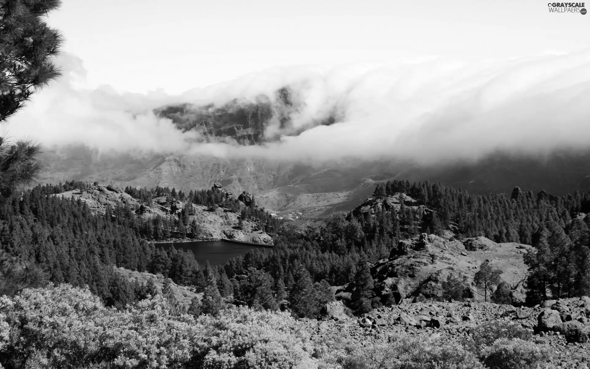 Mountains, lake, Fog, woods