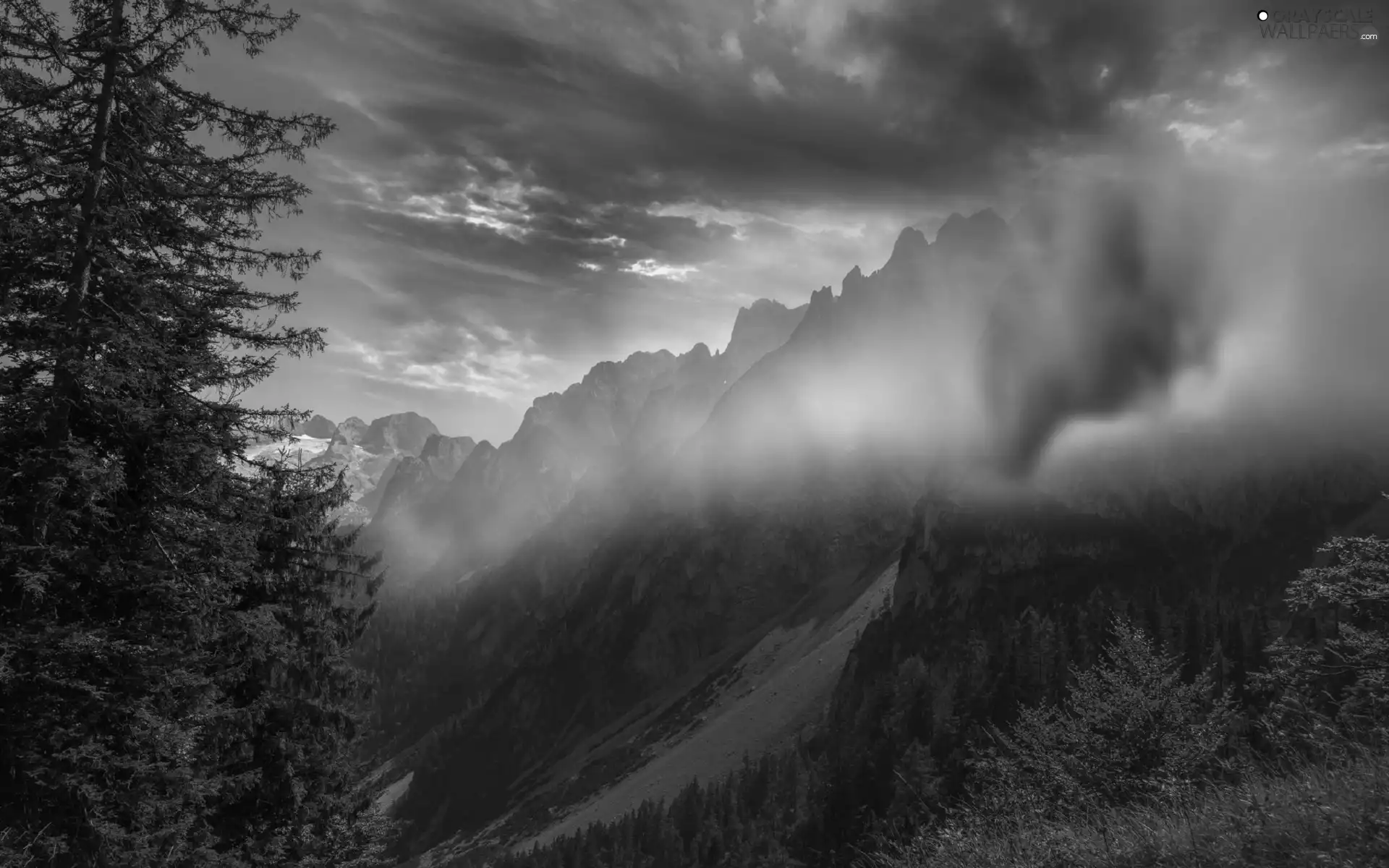 Mountains, viewes, Fog, trees