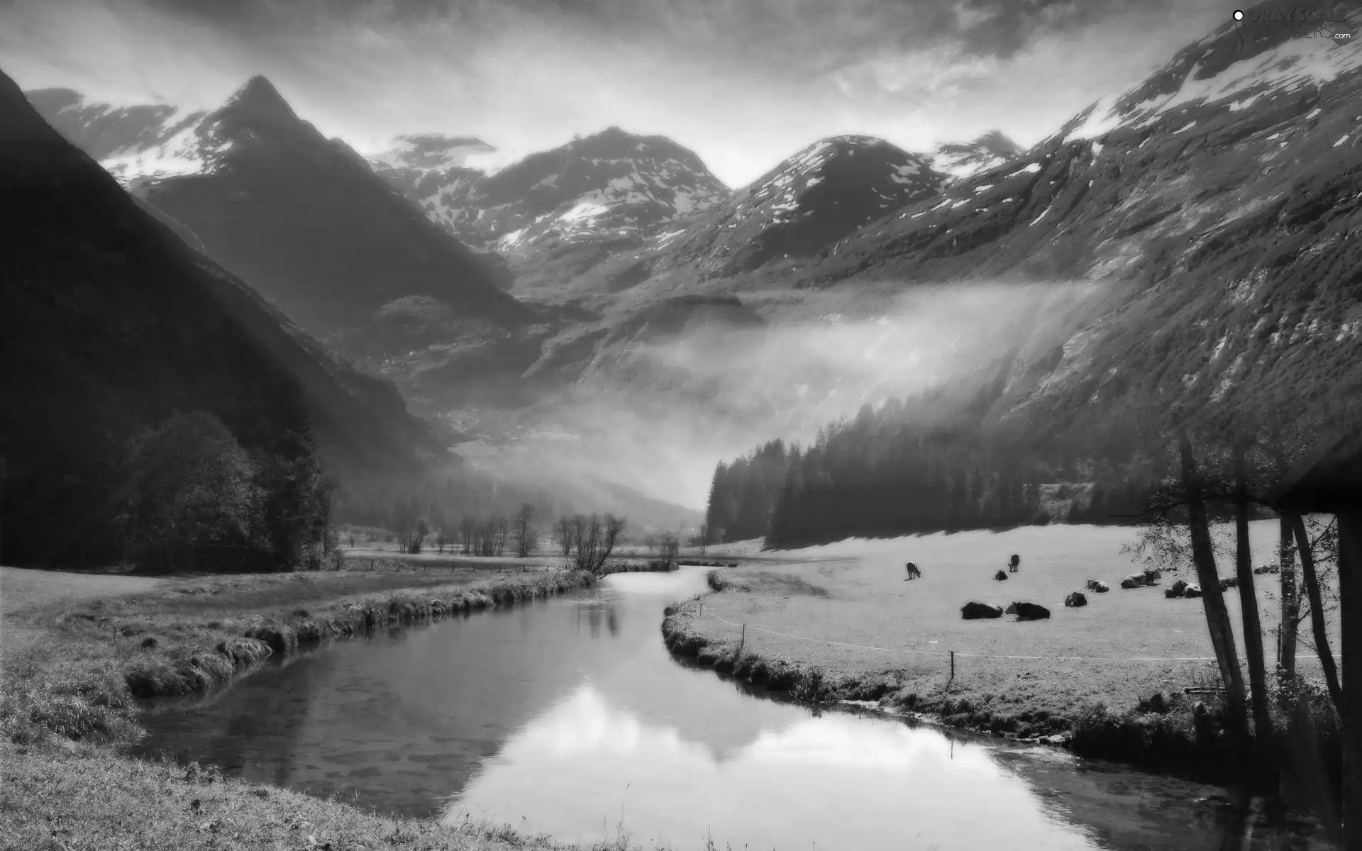 Mountains, woods, Fog, River