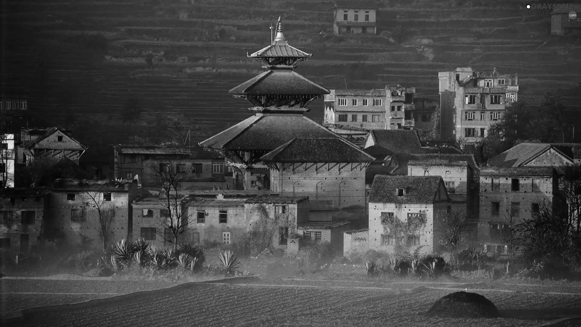 Nepal, Field, Fog, Houses