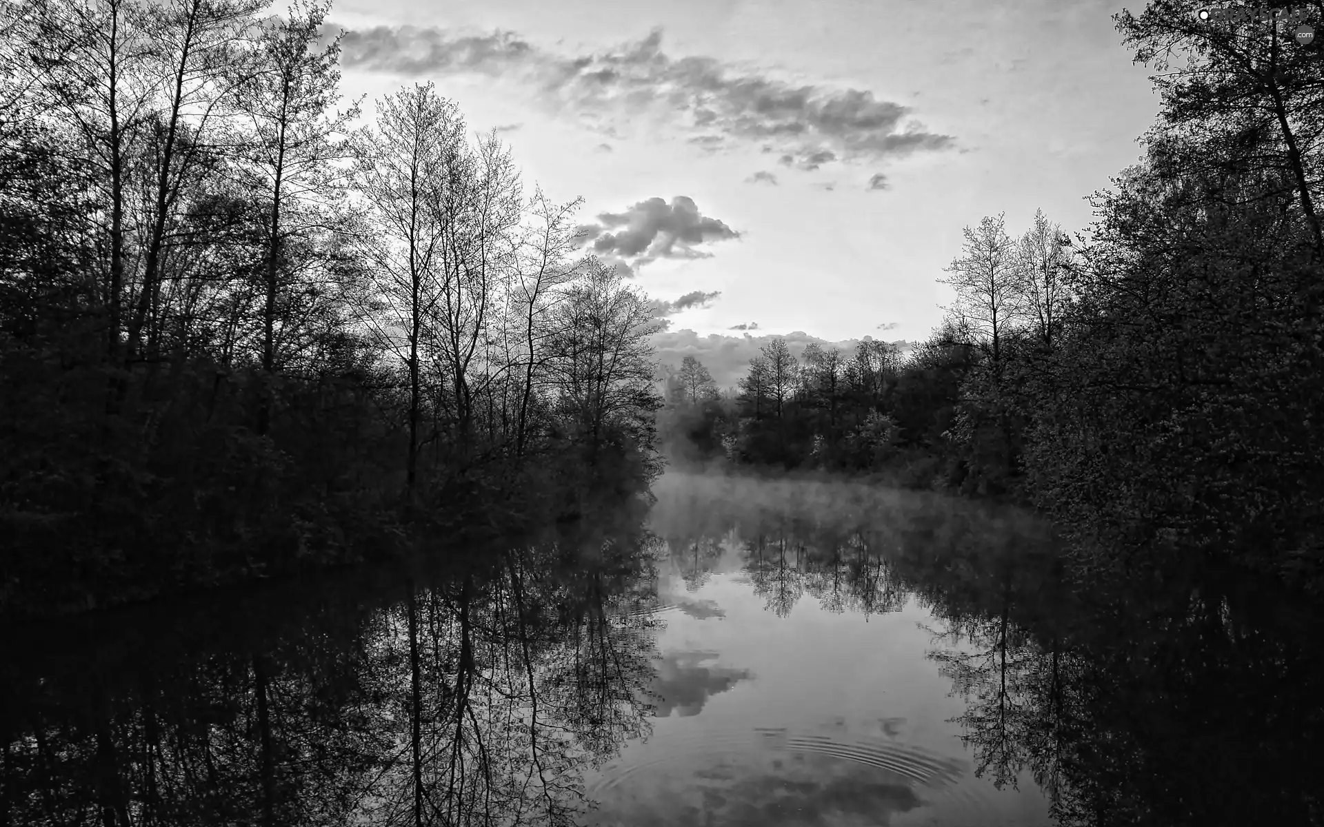 Fog, reflection, forest, River, clouds