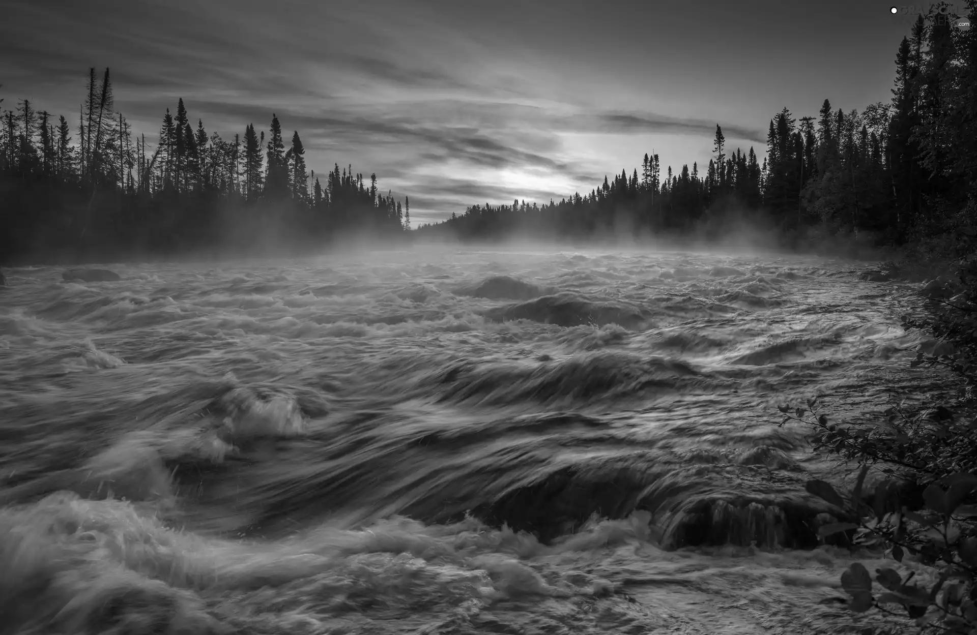 trees, tear, Sunrise, Fog, viewes, River