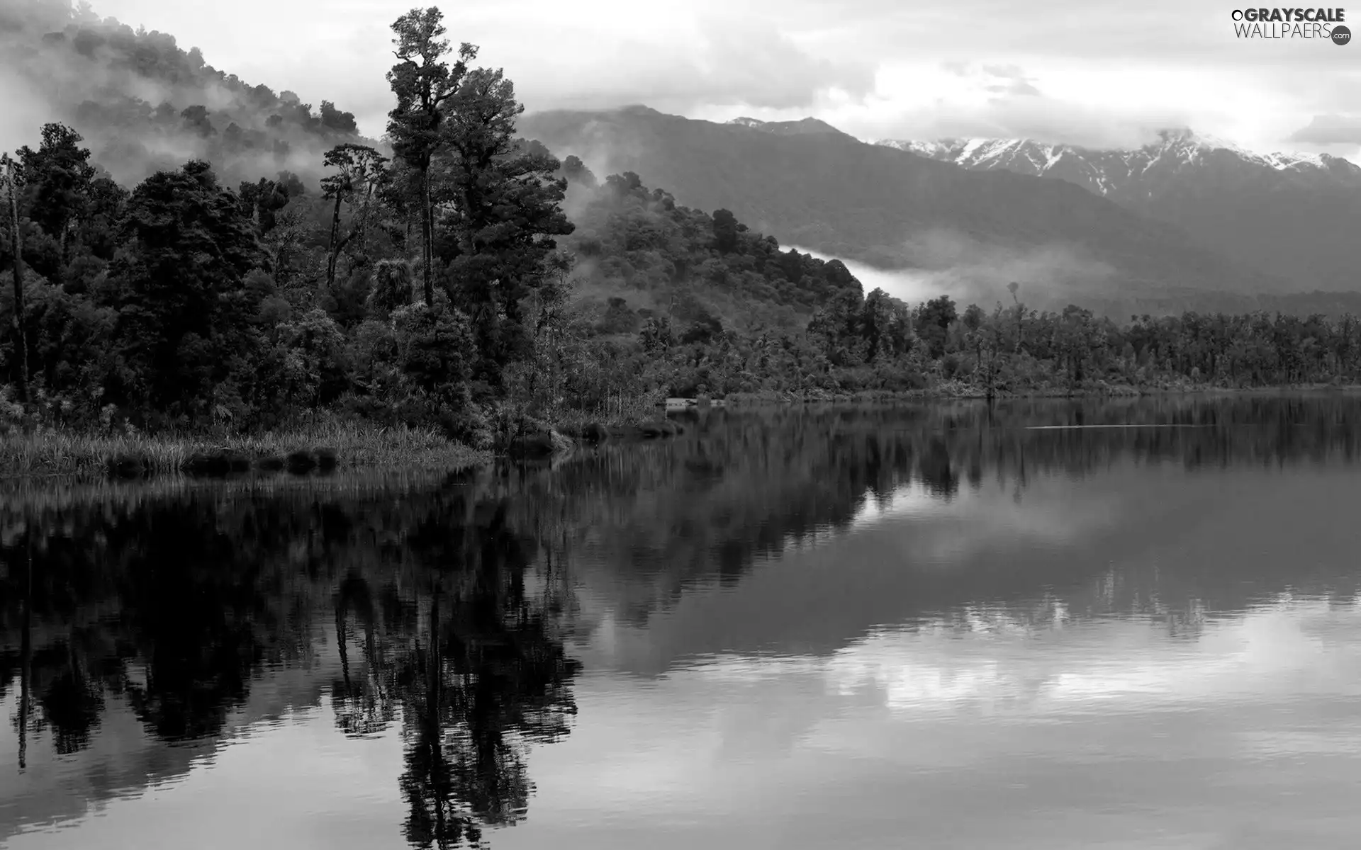 River, woods, Fog, Mountains