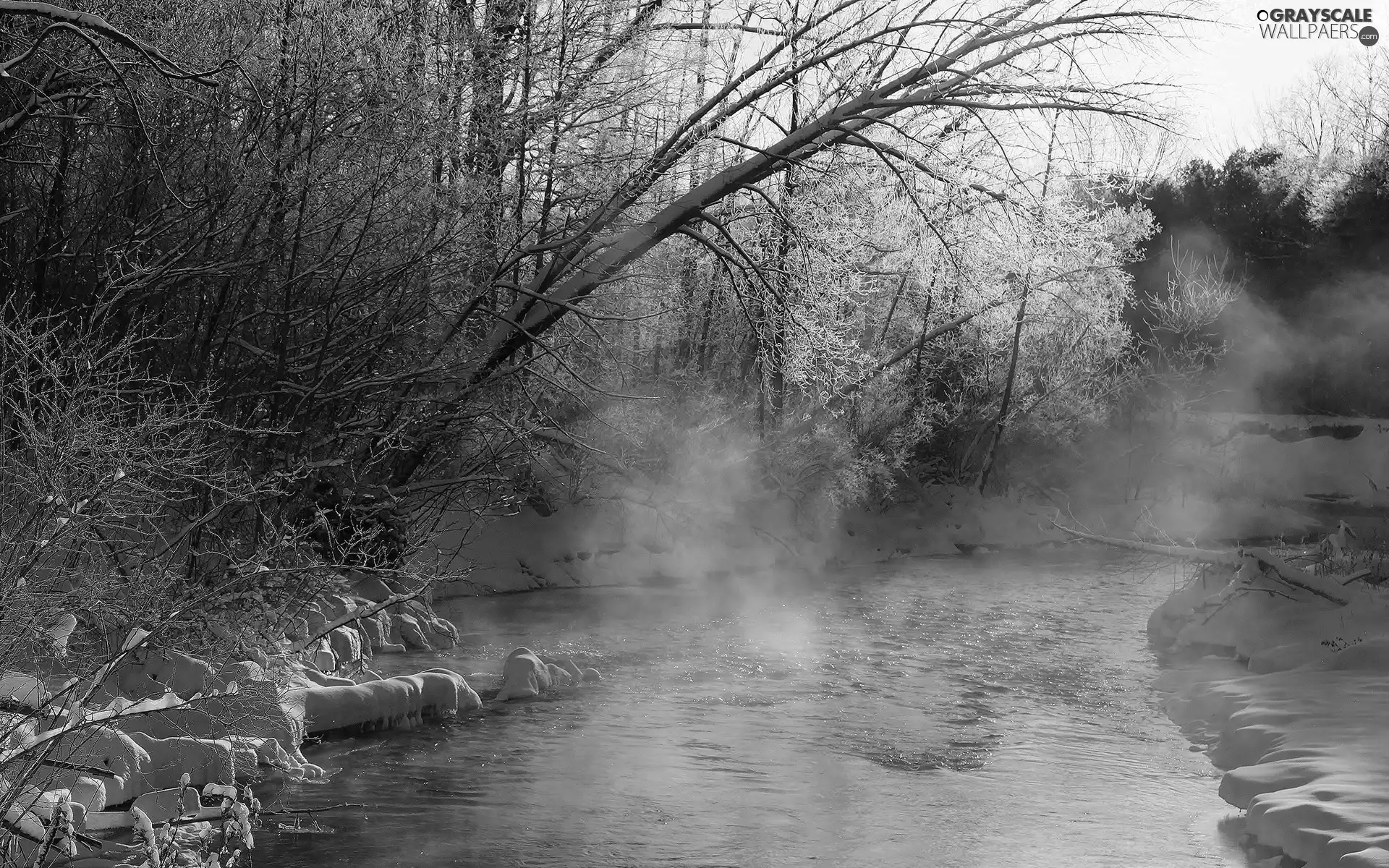 River, Fog