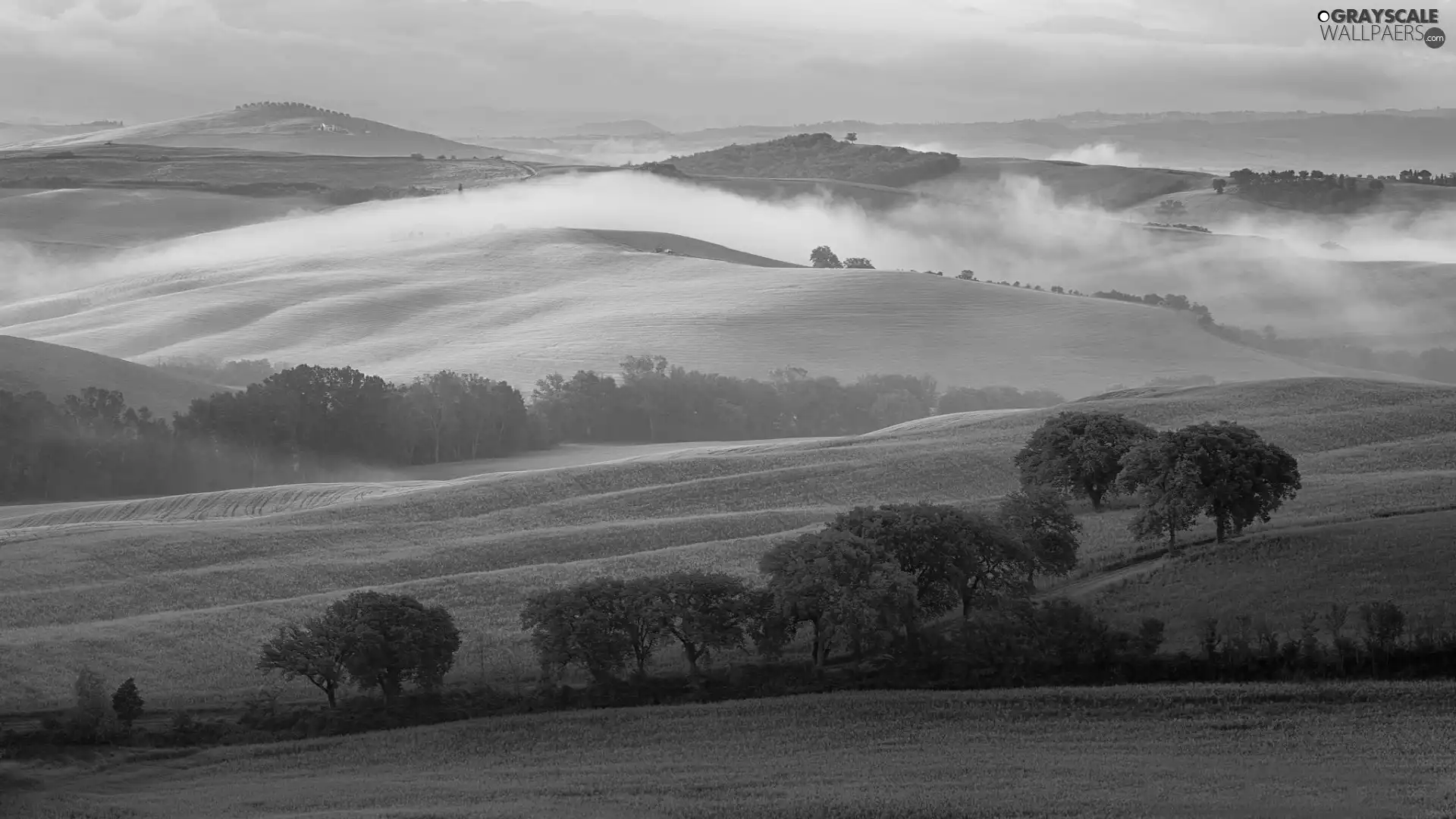 field, Mountains, Fog, roads, woods, medows