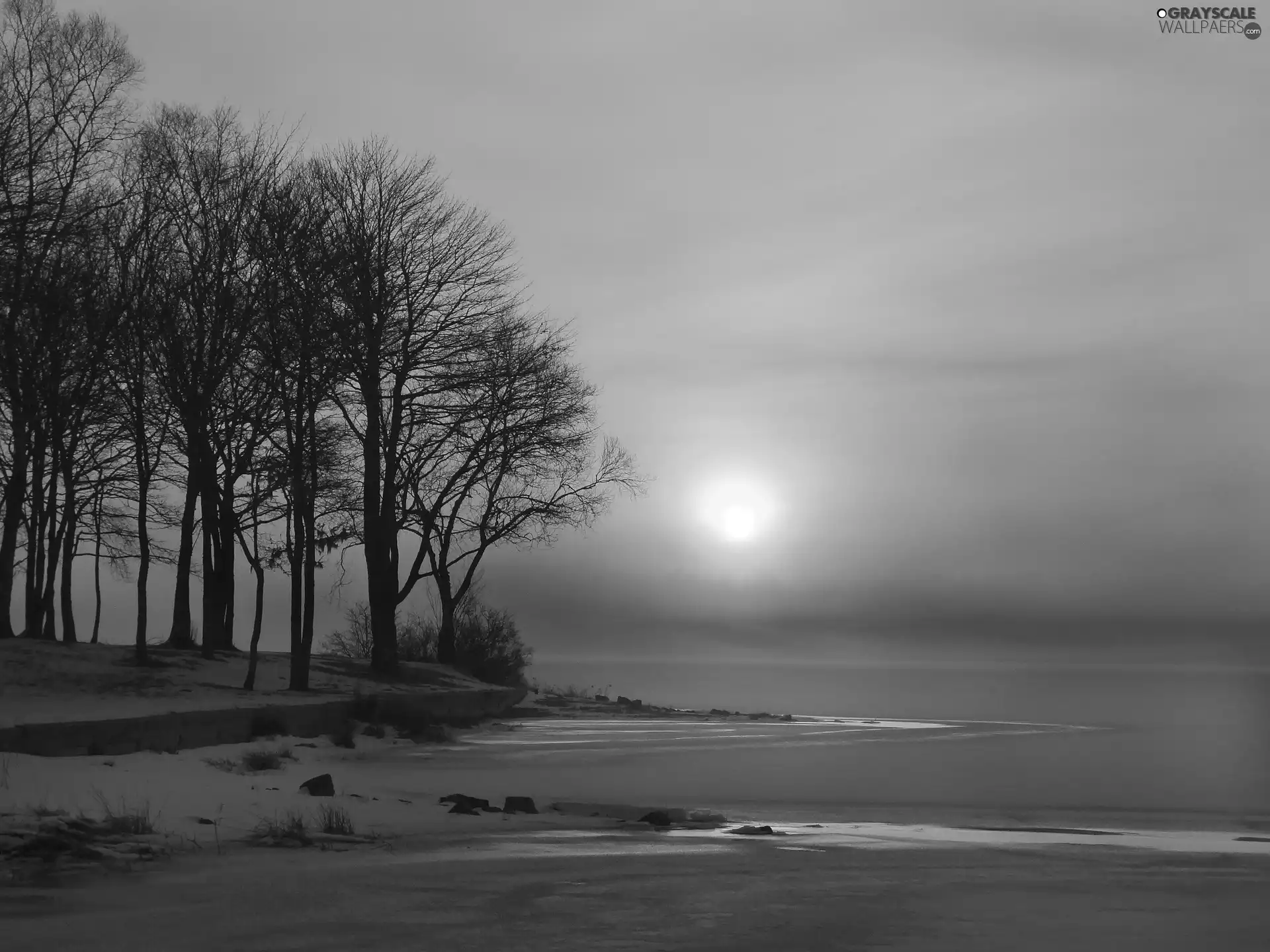 Fog, snow, trees, viewes, lake