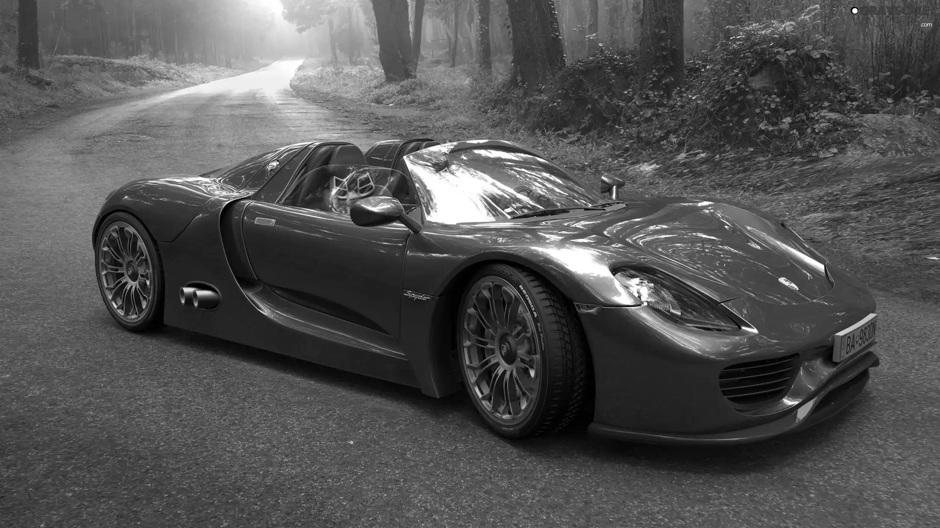 Porsche Spyder, forest, Fog, Way