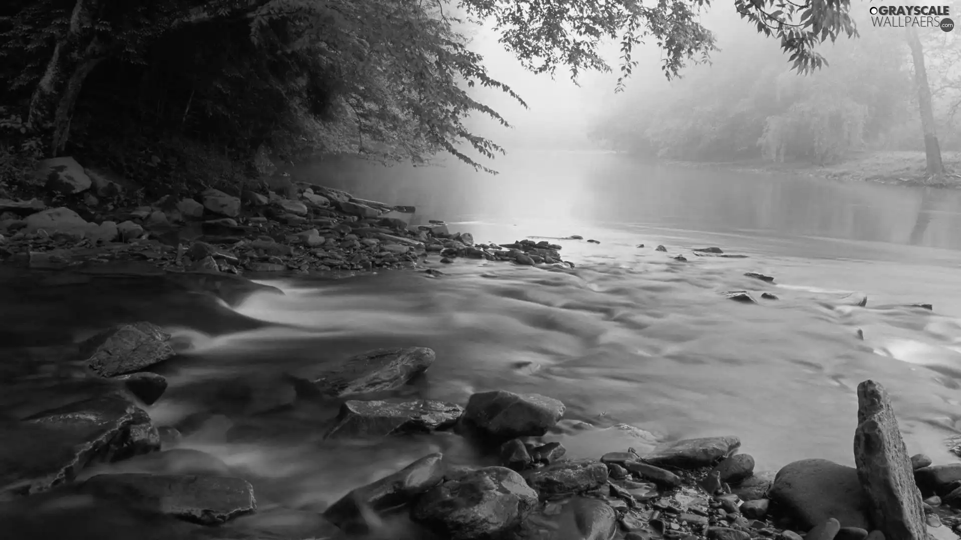 Fog, River, Stones