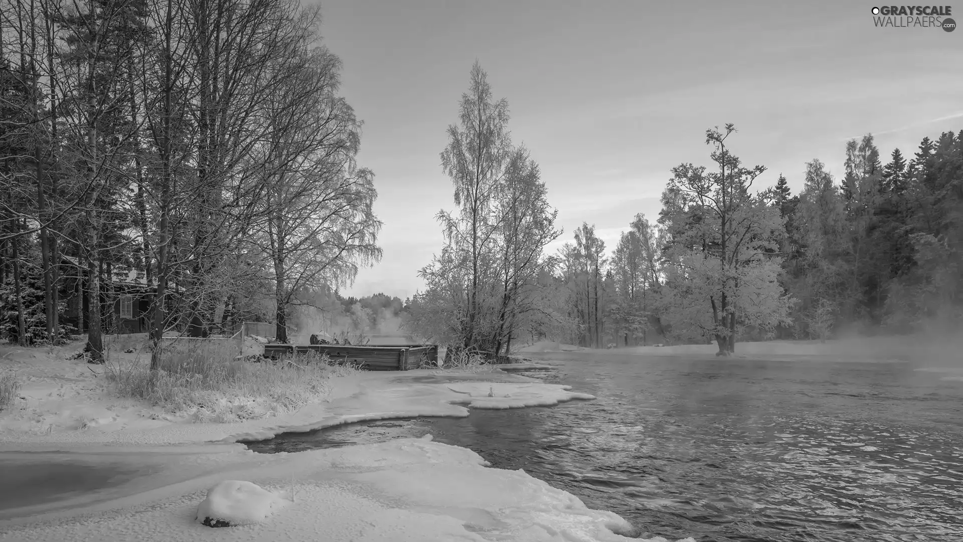 forest, River, viewes, Fog, winter, trees, house