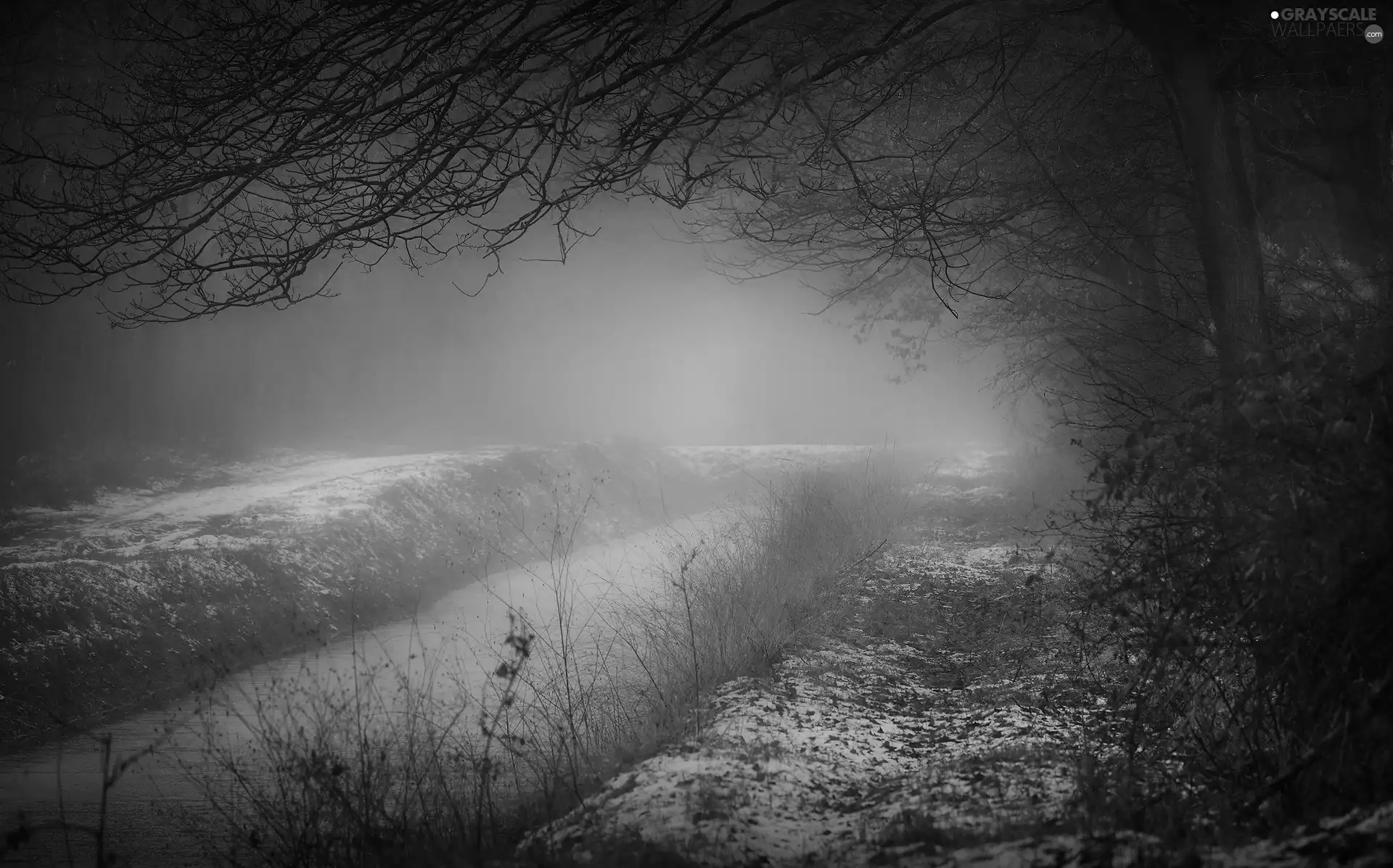 autumn, trees, snow, Fog, River, viewes