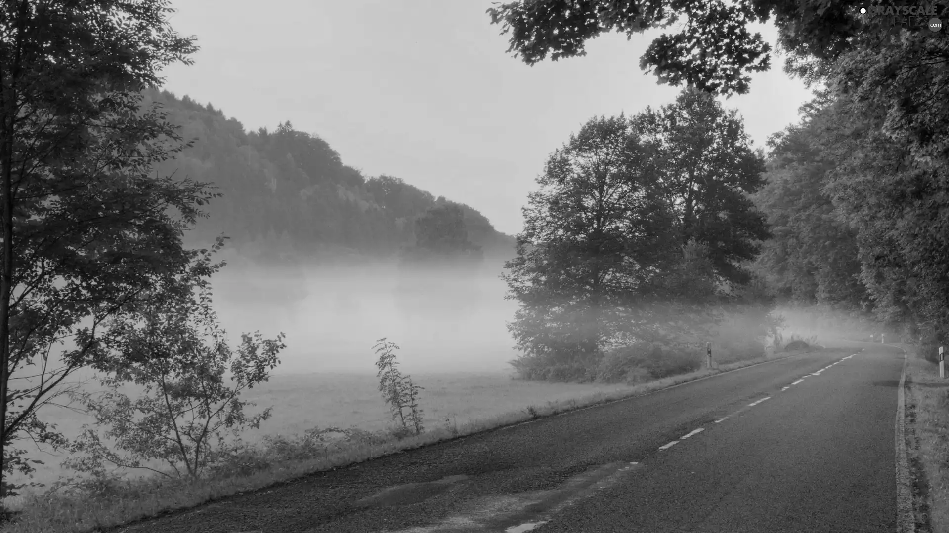 Way, woods, Fog, Mountains