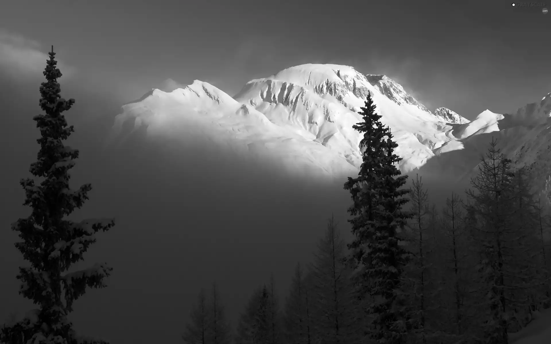 Fog, winter, trees, viewes, Mountains