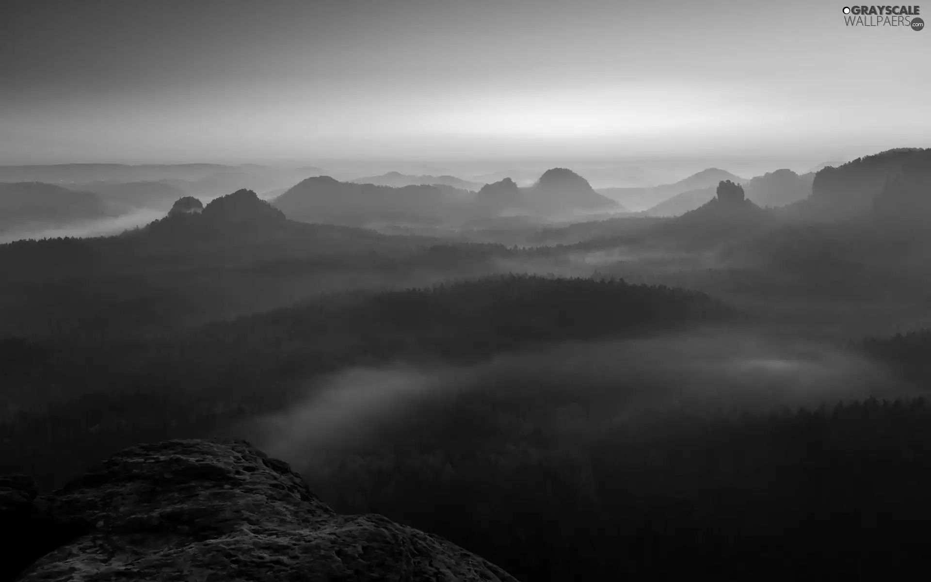 Mountains, Fog, Sunrise, woods