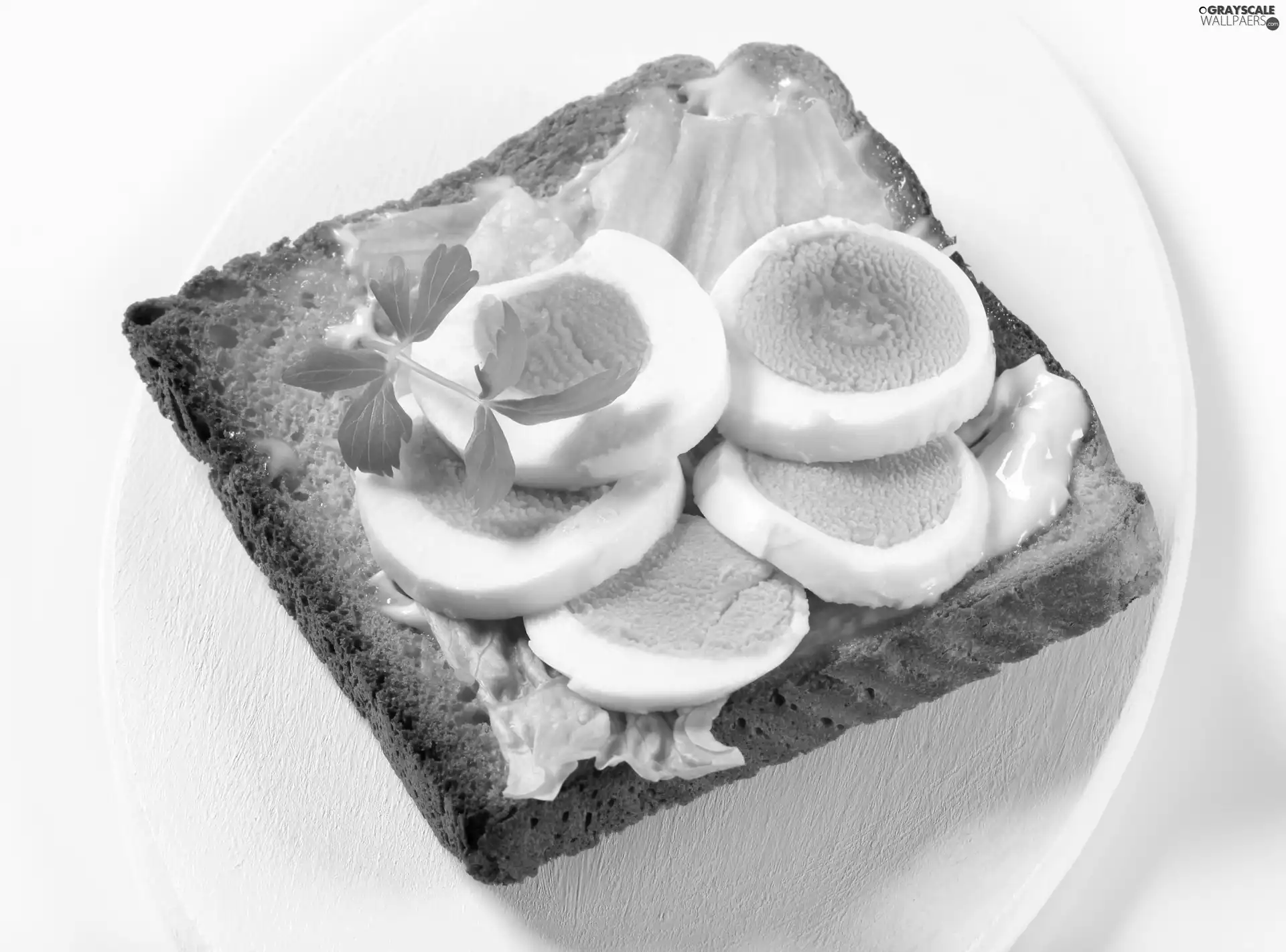 toast, food, sandwich, eggs