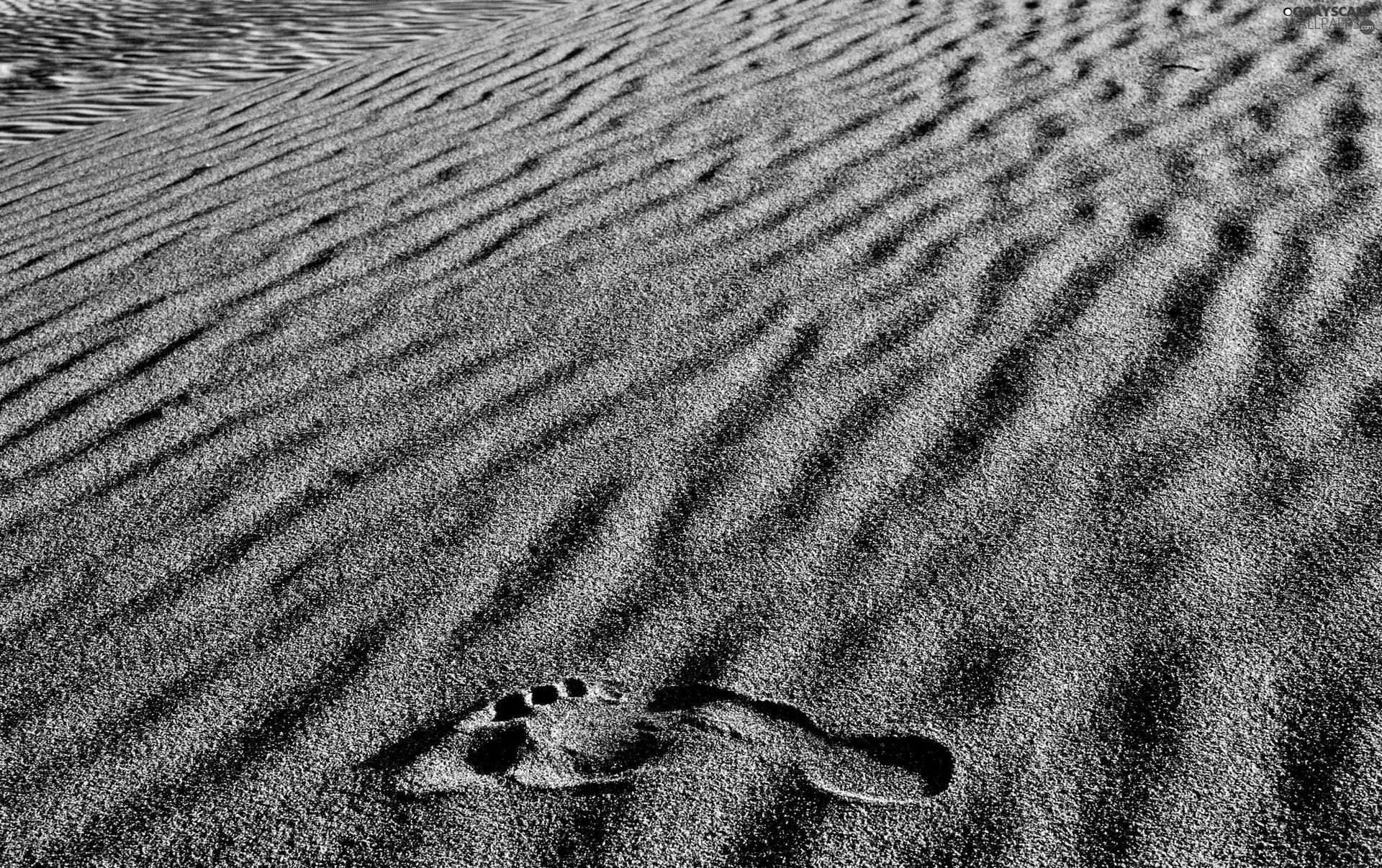 foot, Desert, Sand