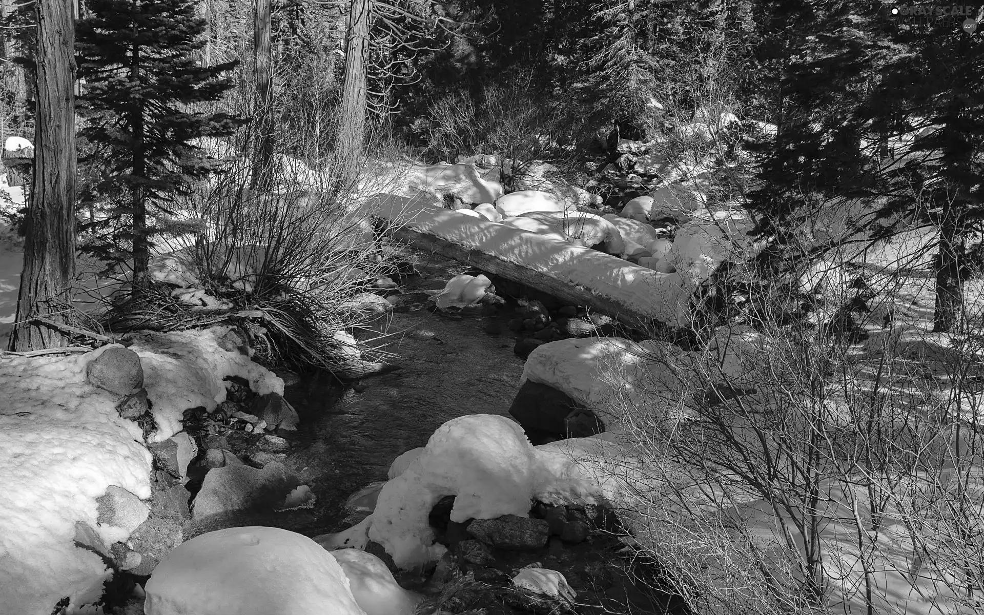 winter, stream, footbridge, forest