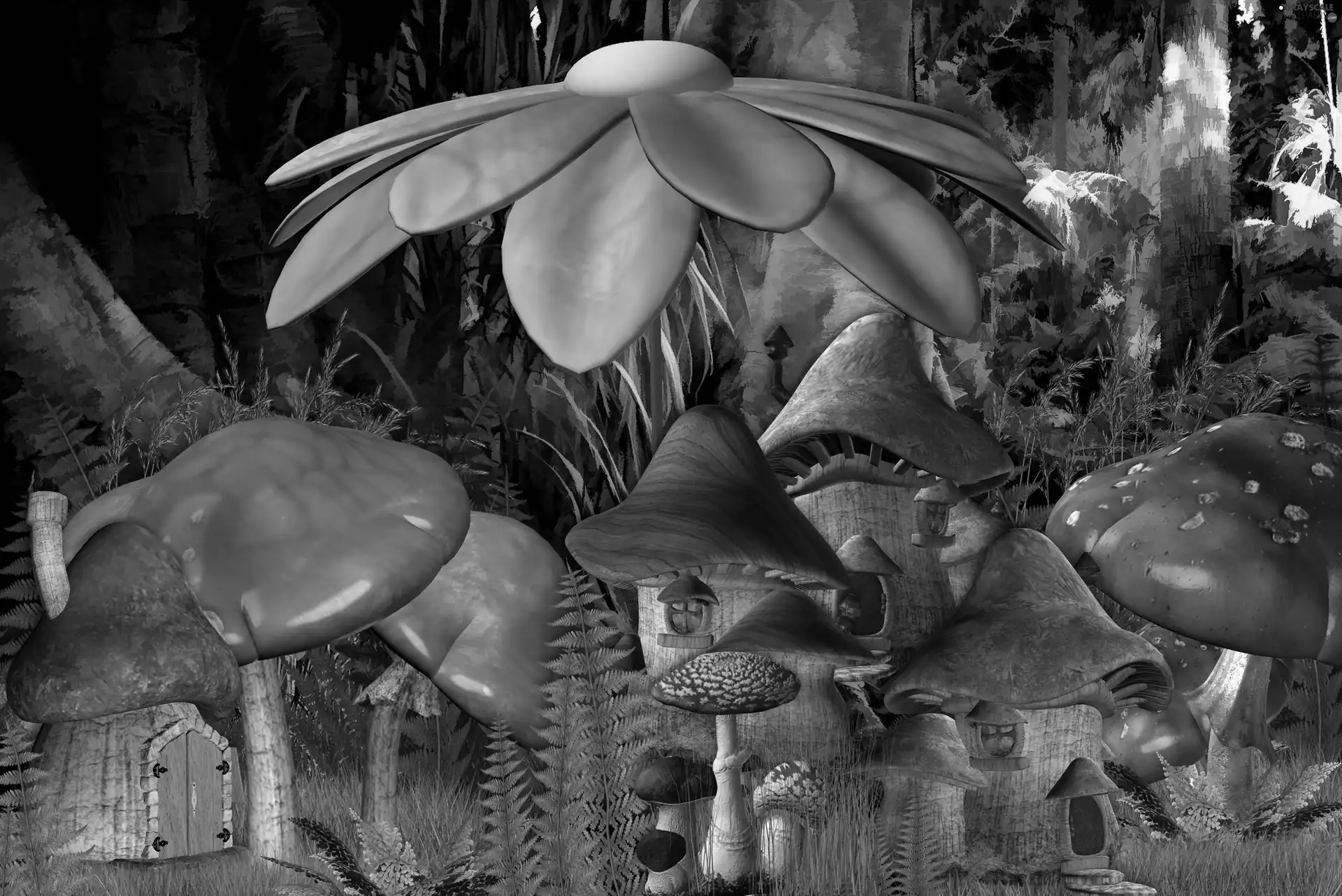 mushrooms, fantasy, For Children, forest