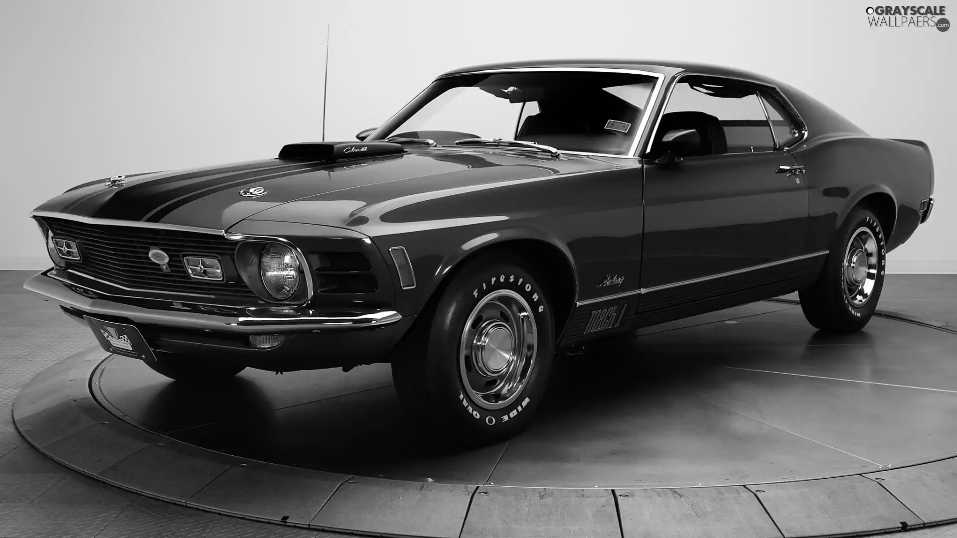 exhibition, blue, Ford Mustang