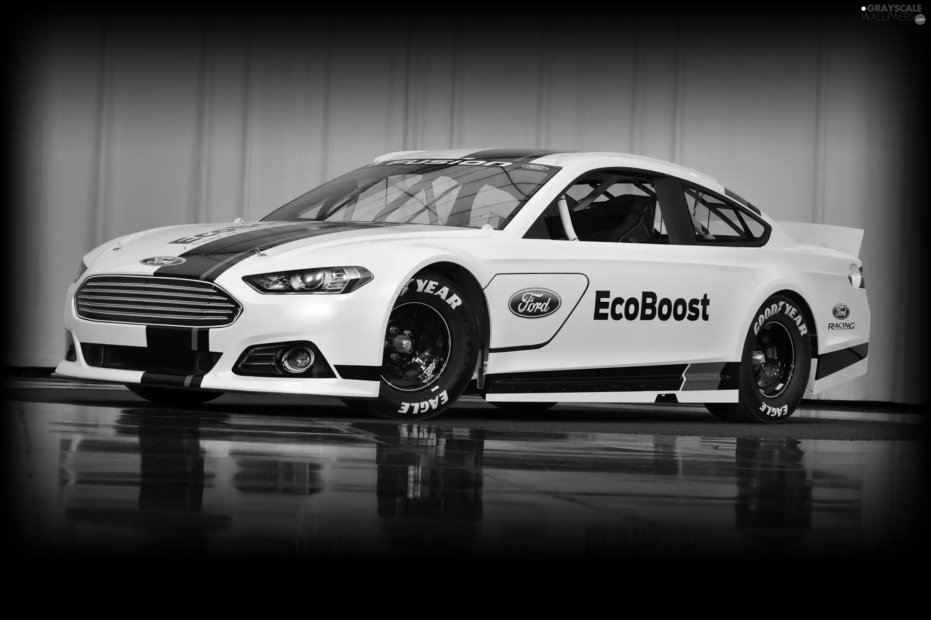 Ford Fusion, Nascar