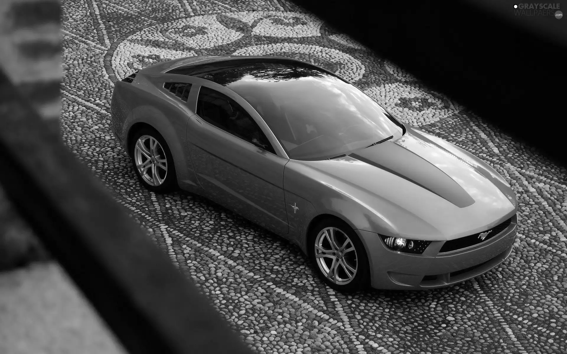 Ford Mustang, Orange