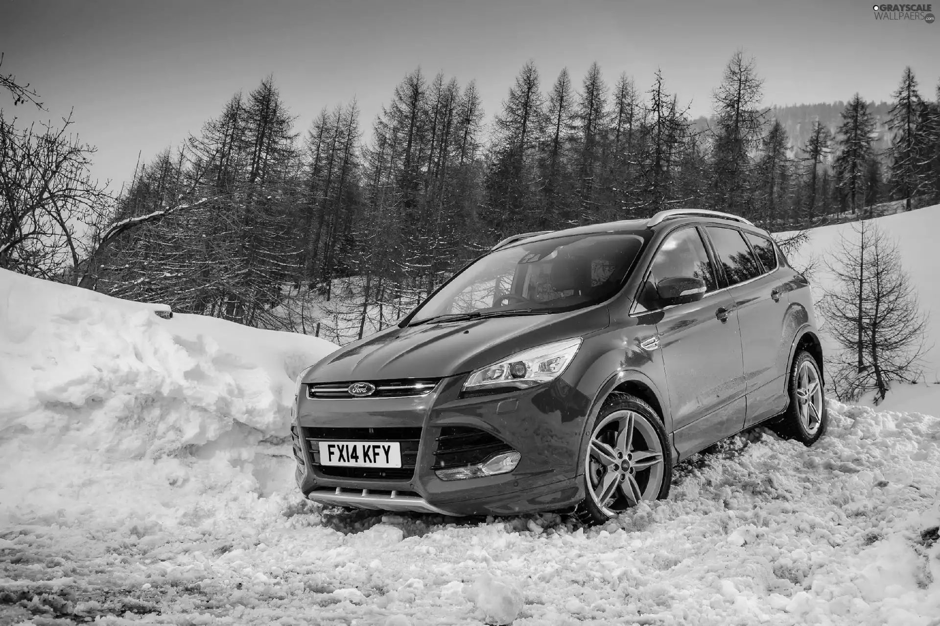 ford kuga, snow