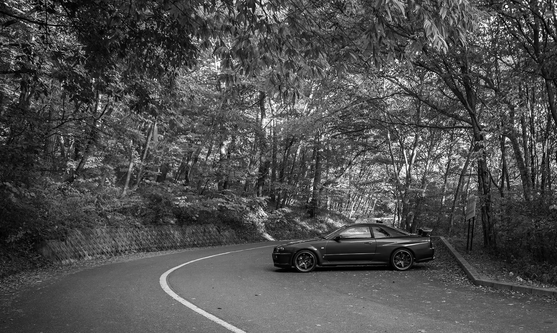 Nissan 350Z, Way, forest, TUNING