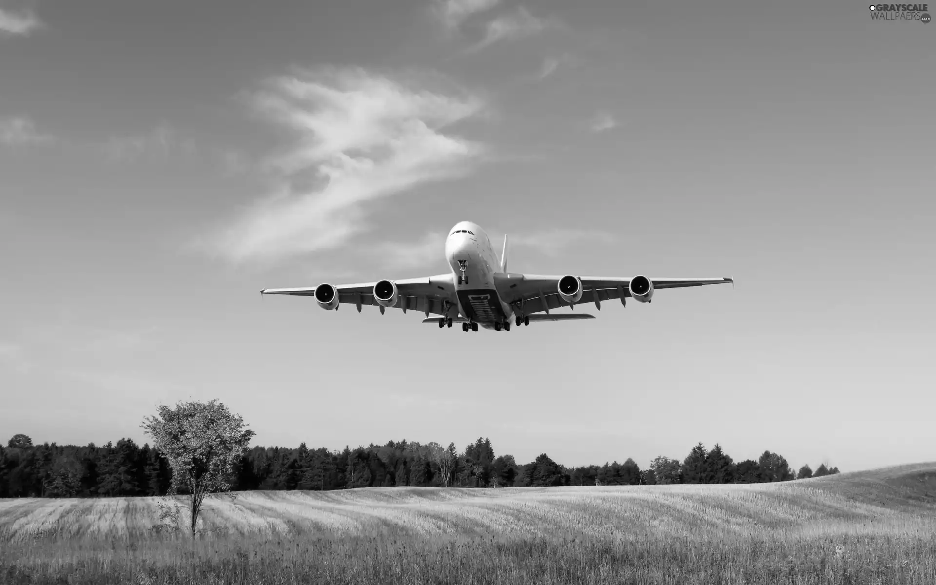 plane, Meadow, forest, Airbus A380
