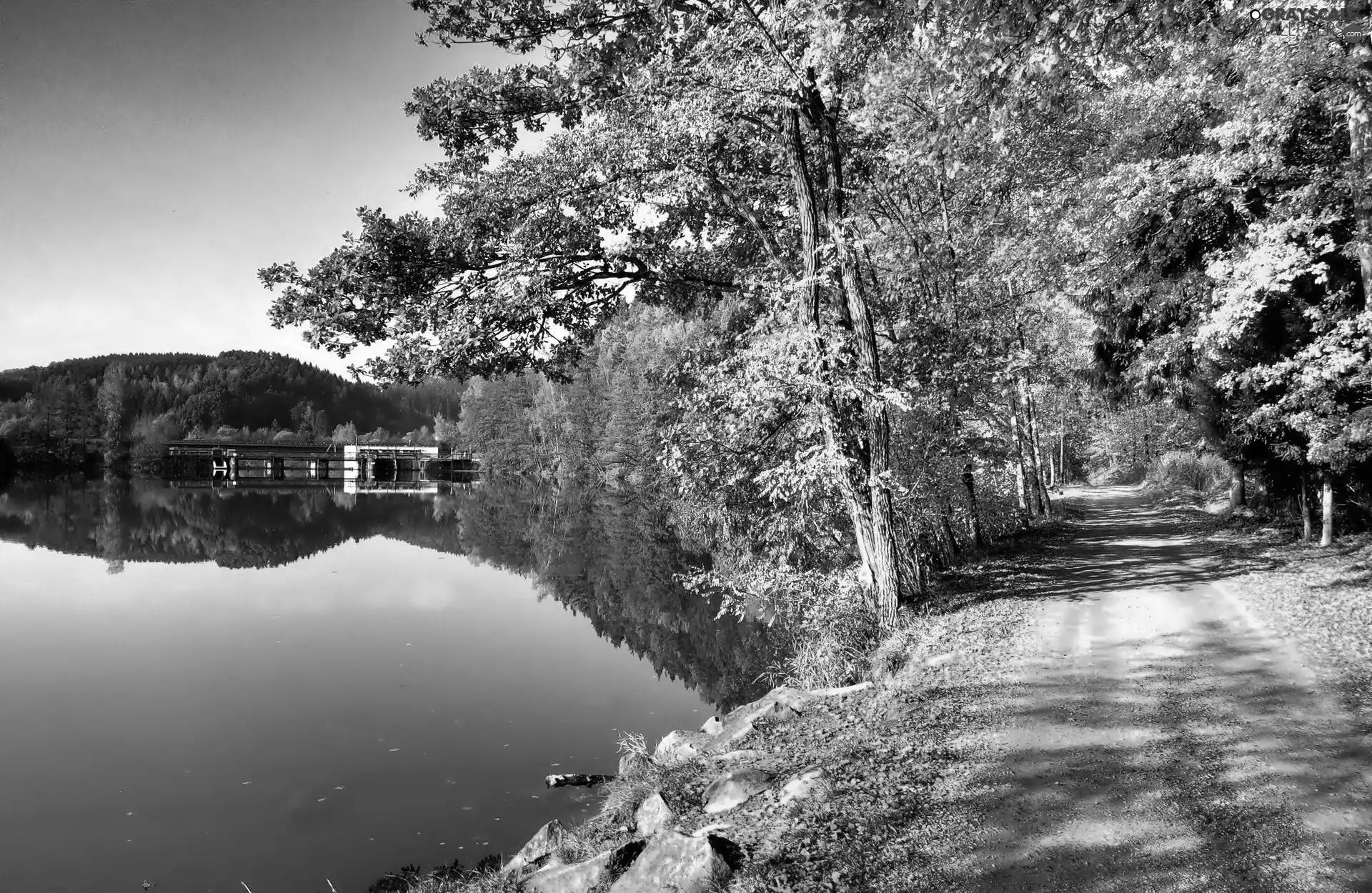 autumn, lake, forest, Way