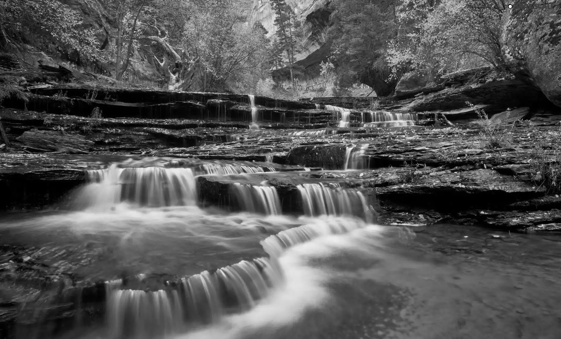 Forest, autumn, waterfall, ##, rocks