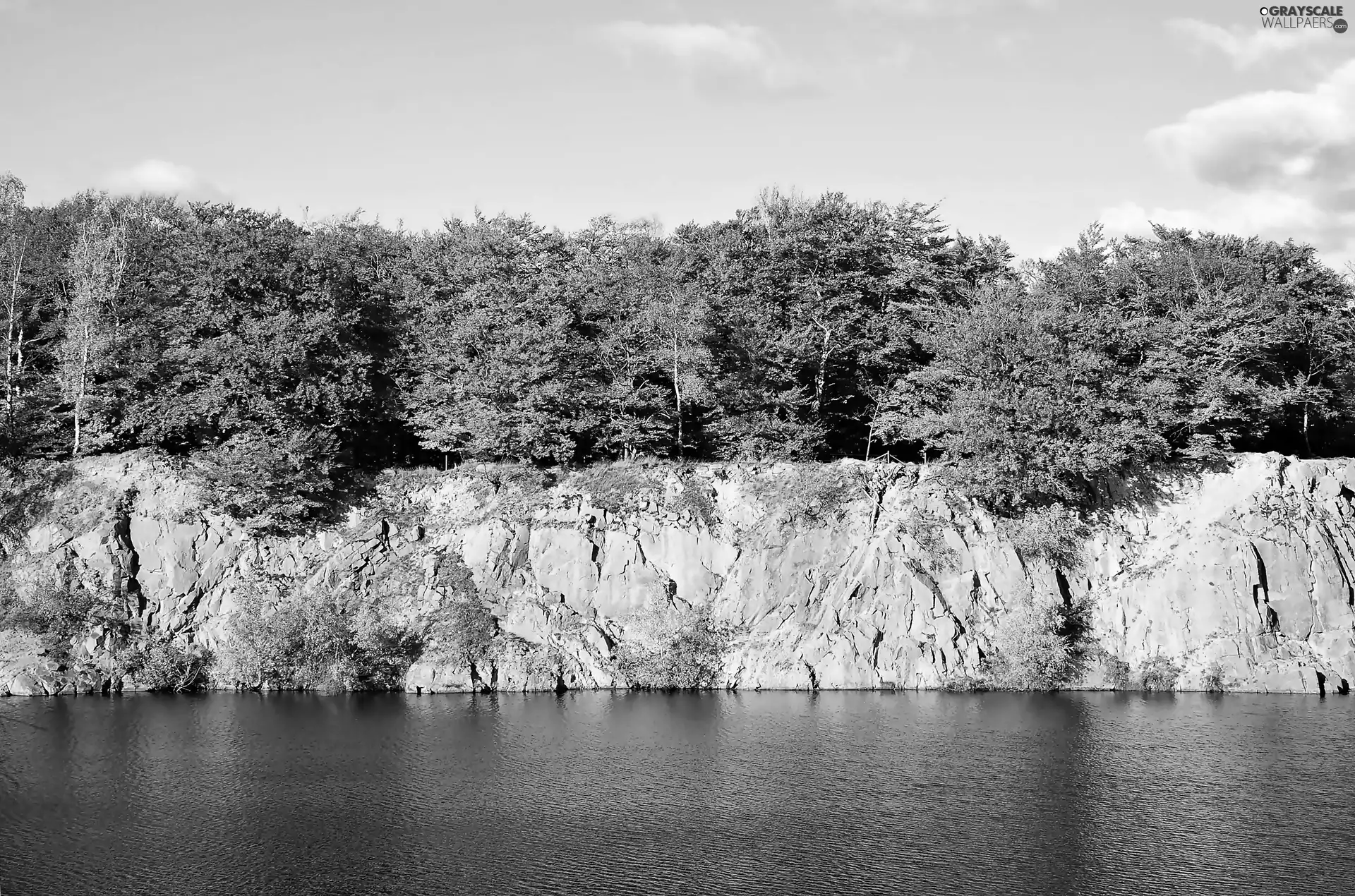 autumn, scarp, forest, River