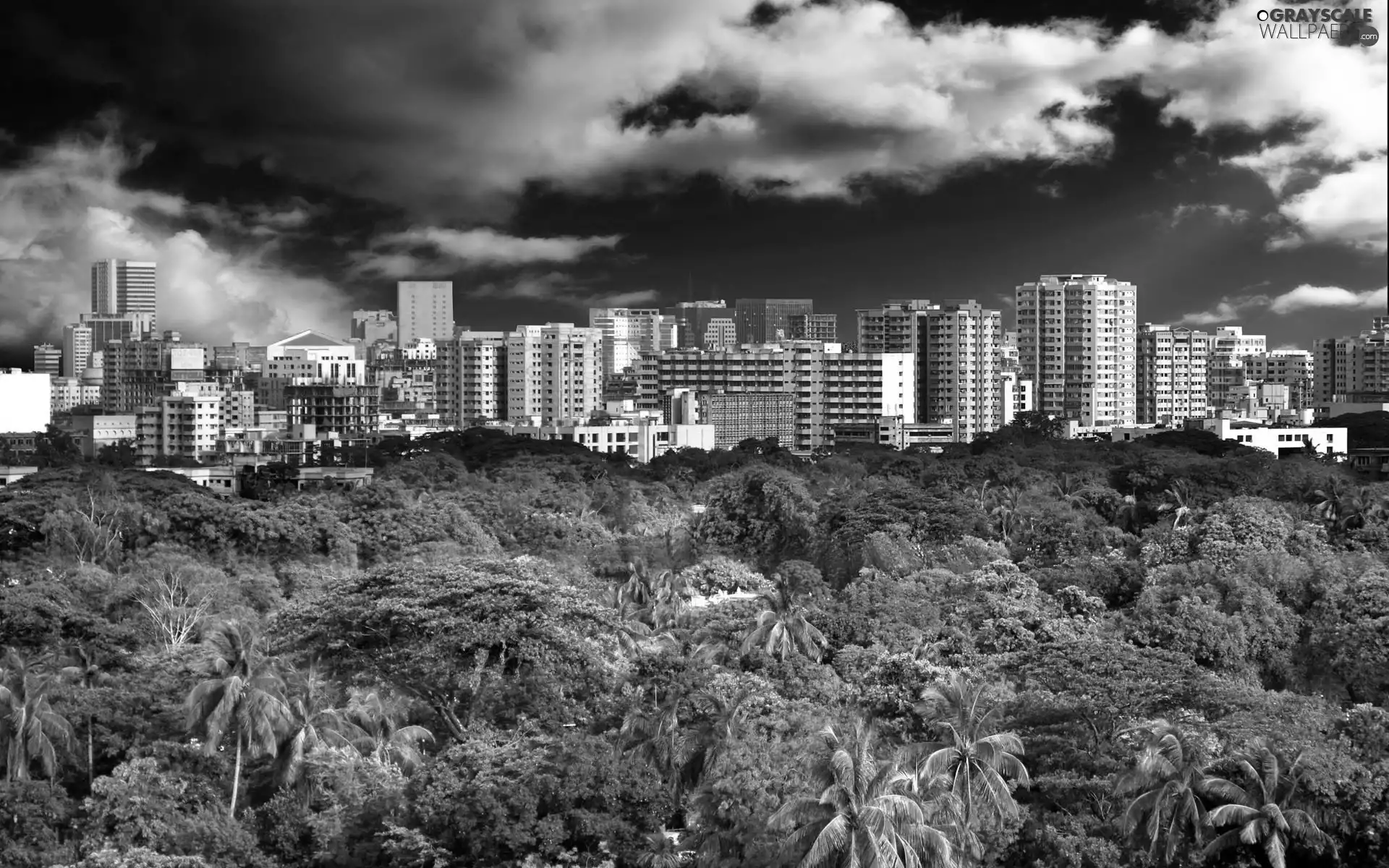 Bangladesh, Town, forest, Dhaka