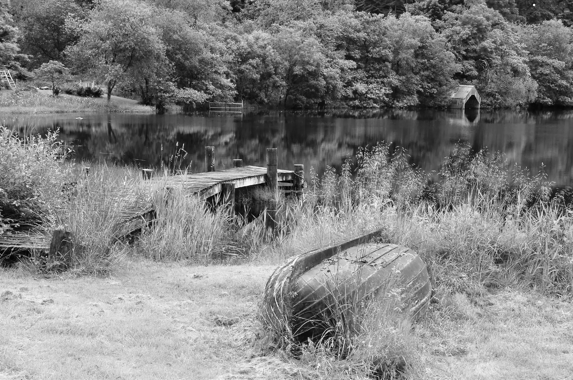 Boat, lake, forest, Platform