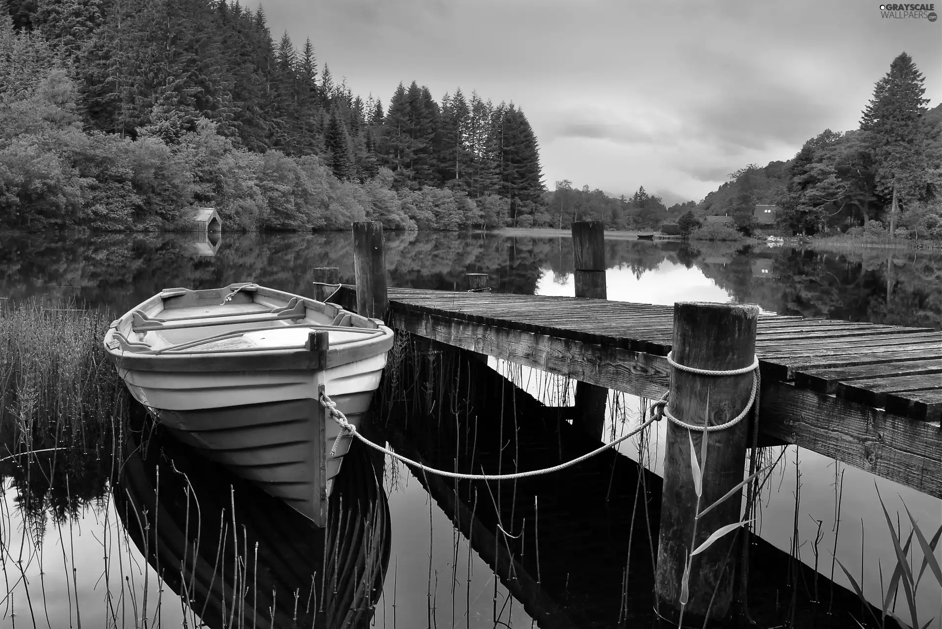 Boat, lake, forest, Platform